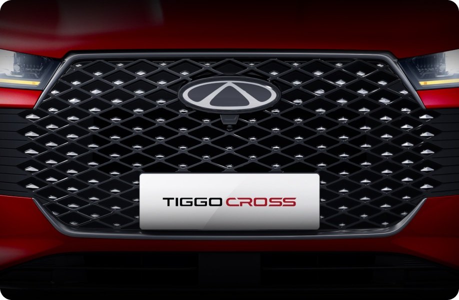 tiggocross2